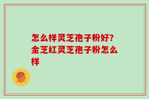 怎么样灵芝孢子粉好?金芝红灵芝孢子粉怎么样