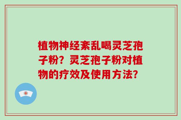 植物神经紊乱喝灵芝孢子粉？灵芝孢子粉对植物的疗效及使用方法？