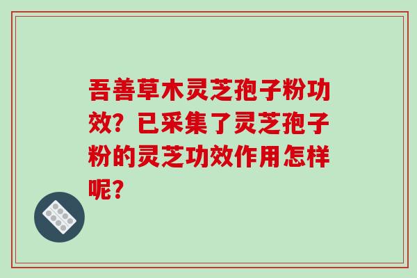 吾善草木灵芝孢子粉功效？已采集了灵芝孢子粉的灵芝功效作用怎样呢？