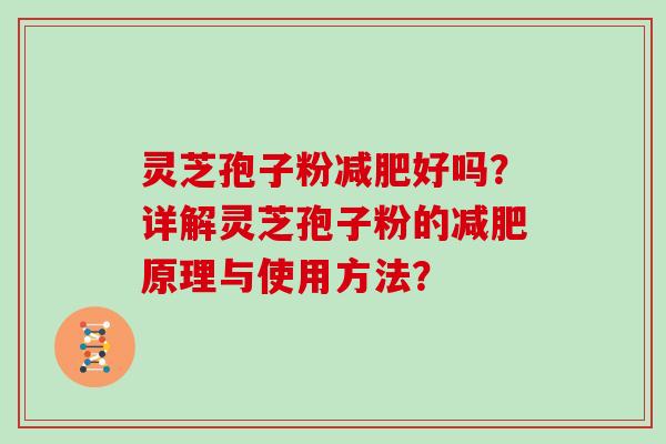 灵芝孢子粉减肥好吗?详解灵芝孢子粉的减肥原理与使用方法?