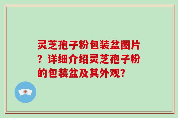 灵芝孢子粉包装盆图片？详细介绍灵芝孢子粉的包装盆及其外观？