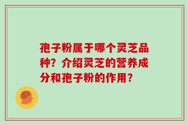 孢子粉属于哪个灵芝品种?介绍灵芝的营养成分和孢子粉的作用?