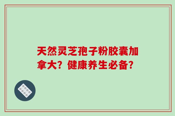 天然灵芝孢子粉胶囊加拿大?健康养生必备?