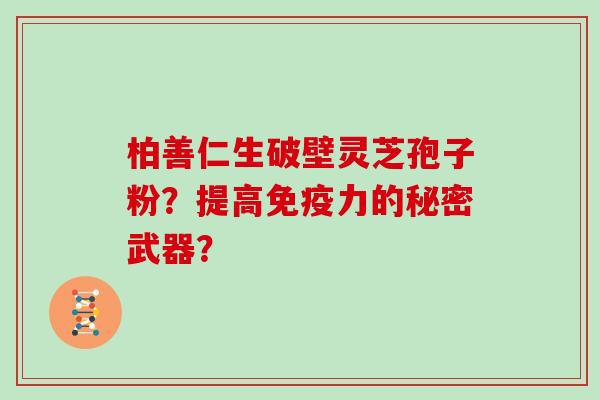 柏善仁生破壁灵芝孢子粉？提高免疫力的秘密武器？