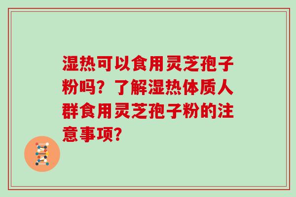 湿热可以食用灵芝孢子粉吗?了解湿热体质人群食用灵芝孢子粉的注意事项?
