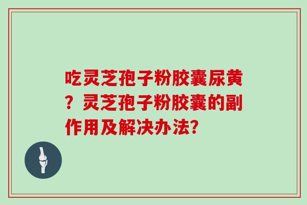 吃灵芝孢子粉胶囊尿黄?灵芝孢子粉胶囊的副作用及解决办法?