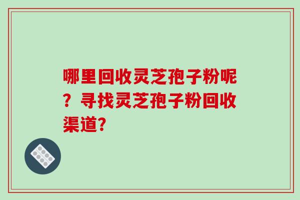 哪里回收灵芝孢子粉呢？寻找灵芝孢子粉回收渠道？