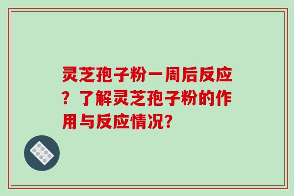 灵芝孢子粉一周后反应？了解灵芝孢子粉的作用与反应情况？