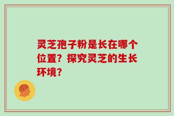 灵芝孢子粉是长在哪个位置？探究灵芝的生长环境？
