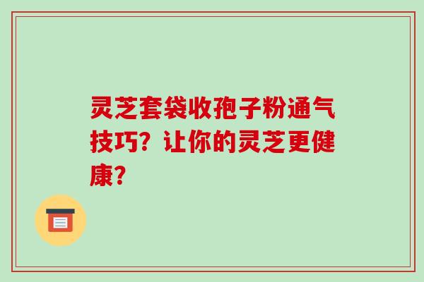 灵芝套袋收孢子粉通气技巧?让你的灵芝更健康?