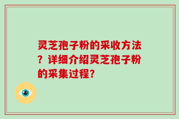 灵芝孢子粉的采收方法？详细介绍灵芝孢子粉的采集过程？
