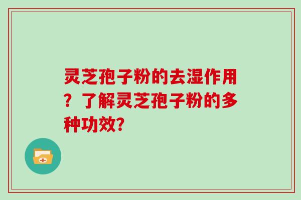 灵芝孢子粉的去湿作用?了解灵芝孢子粉的多种功效?