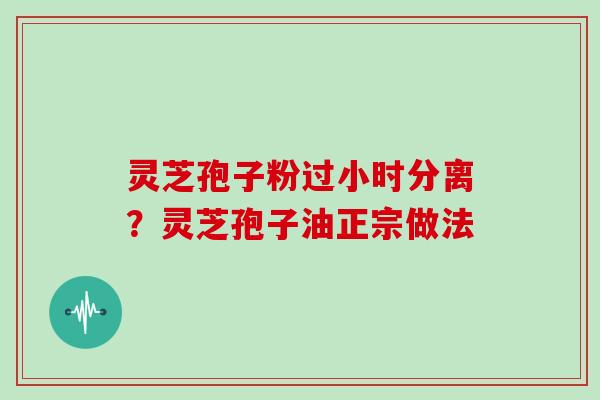 灵芝孢子粉过小时分离？灵芝孢子油正宗做法