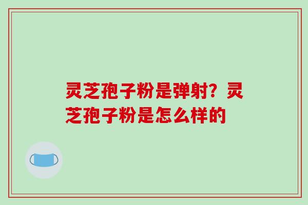 灵芝孢子粉是弹射?灵芝孢子粉是怎么样的