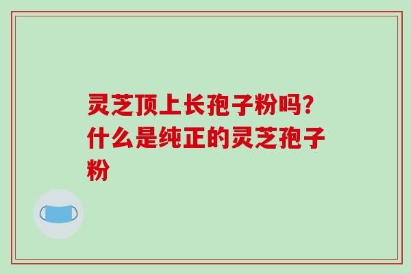 灵芝顶上长孢子粉吗?什么是纯正的灵芝孢子粉