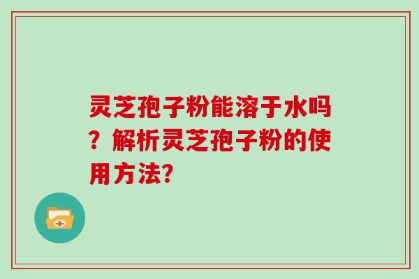 灵芝孢子粉能溶于水吗?解析灵芝孢子粉的使用方法?