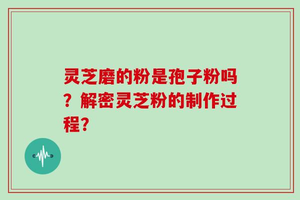 灵芝磨的粉是孢子粉吗?解密灵芝粉的制作过程?