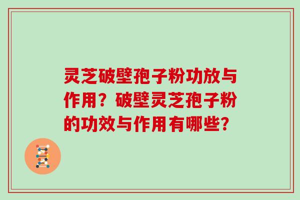 灵芝破壁孢子粉功放与作用?破壁灵芝孢子粉的功效与作用有哪些?
