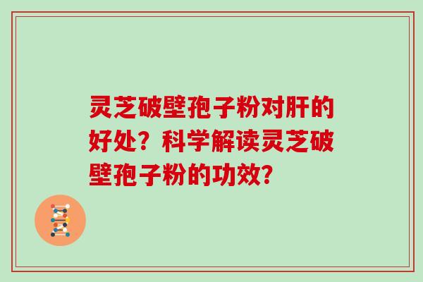 灵芝破壁孢子粉对肝的好处?科学解读灵芝破壁孢子粉的功效?