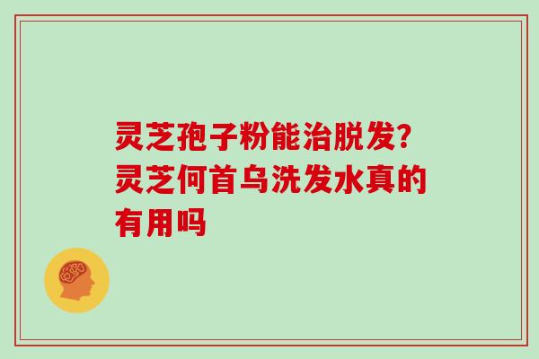 灵芝孢子粉能治脱发？灵芝何首乌洗发水真的有用吗