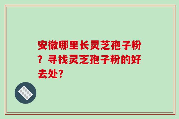 安徽哪里长灵芝孢子粉？寻找灵芝孢子粉的好去处？