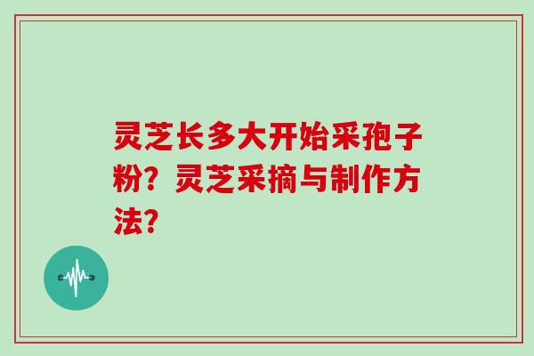 灵芝长多大开始采孢子粉?灵芝采摘与制作方法?