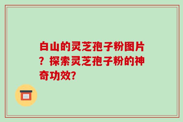 白山的灵芝孢子粉图片?探索灵芝孢子粉的神奇功效?