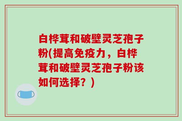 白桦茸和破壁灵芝孢子粉(提高免疫力,白桦茸和破壁灵芝孢子粉该如何选择?)