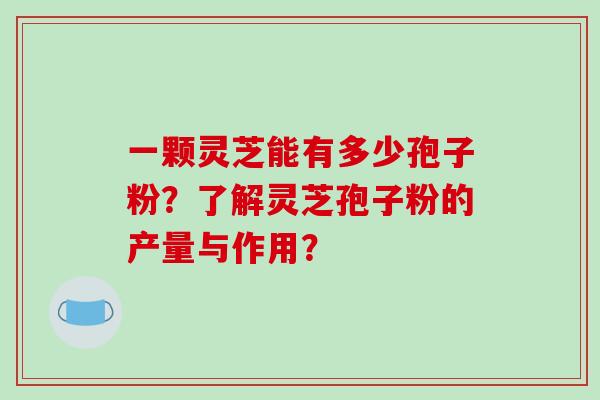 一颗灵芝能有多少孢子粉?了解灵芝孢子粉的产量与作用?