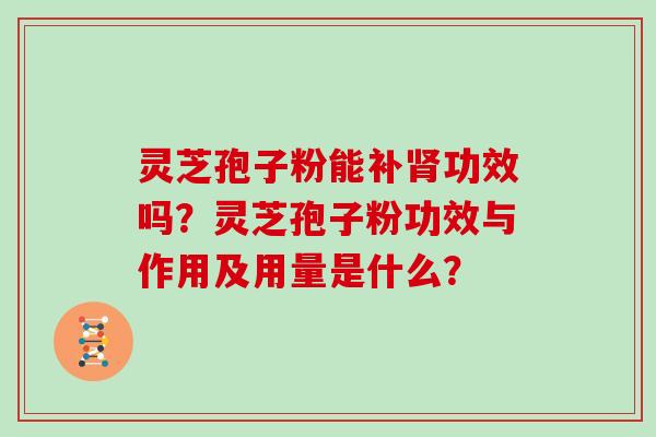 灵芝孢子粉能补肾功效吗?灵芝孢子粉功效与作用及用量是什么?