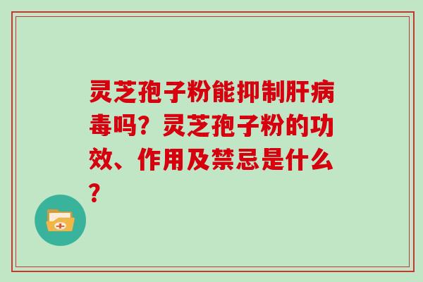 灵芝孢子粉能抑制肝病毒吗?灵芝孢子粉的功效、作用及禁忌是什么?