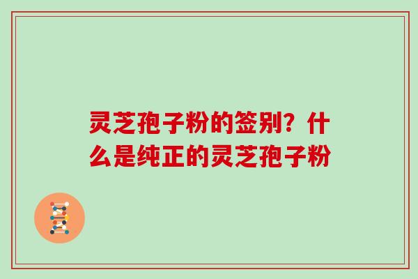 灵芝孢子粉的签别?什么是纯正的灵芝孢子粉