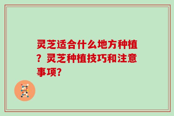 灵芝适合什么地方种植?灵芝种植技巧和注意事项?