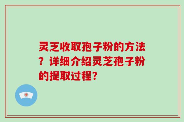 灵芝收取孢子粉的方法?详细介绍灵芝孢子粉的提取过程?