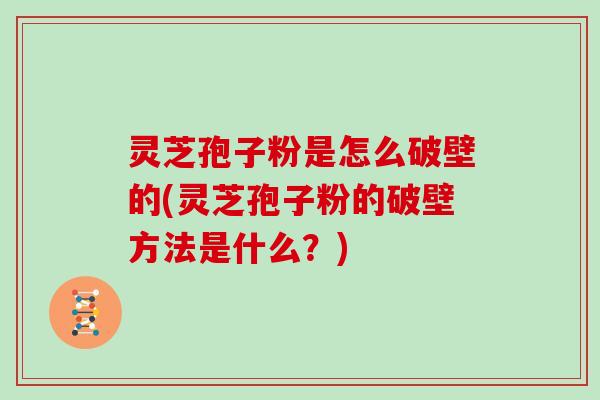 灵芝孢子粉是怎么破壁的(灵芝孢子粉的破壁方法是什么?)