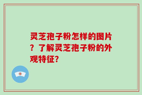 灵芝孢子粉怎样的图片?了解灵芝孢子粉的外观特征?