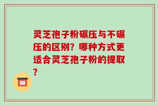 灵芝孢子粉碾压与不碾压的区别?哪种方式更适合灵芝孢子粉的提取?