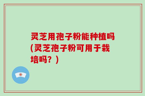 灵芝用孢子粉能种植吗(灵芝孢子粉可用于栽培吗？)