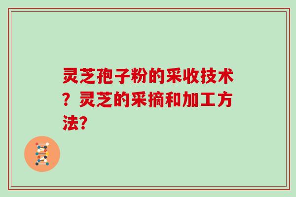 灵芝孢子粉的采收技术?灵芝的采摘和加工方法?