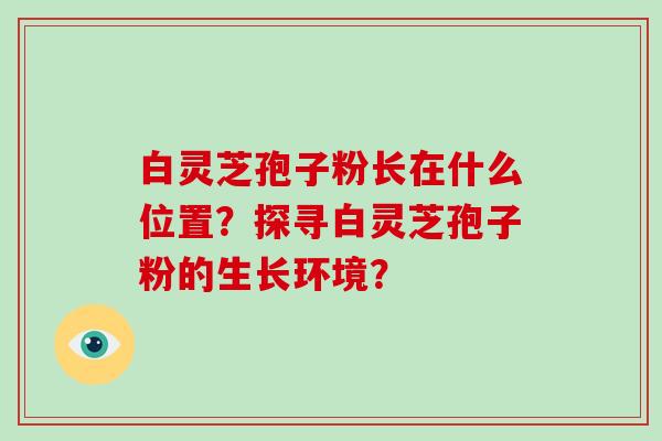 白灵芝孢子粉长在什么位置?探寻白灵芝孢子粉的生长环境?