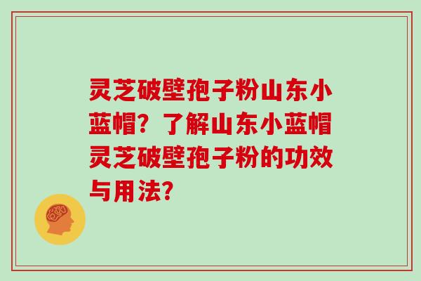 灵芝破壁孢子粉山东小蓝帽？了解山东小蓝帽灵芝破壁孢子粉的功效与用法？