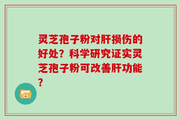 灵芝孢子粉对肝损伤的好处?科学研究证实灵芝孢子粉可改善肝功能?