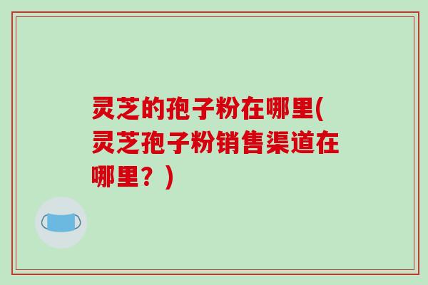 灵芝的孢子粉在哪里(灵芝孢子粉销售渠道在哪里?)