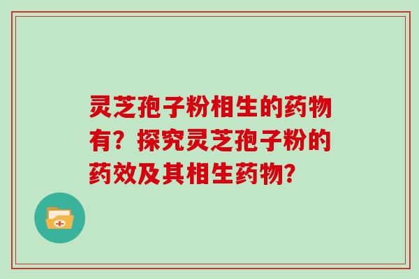 灵芝孢子粉相生的药物有?探究灵芝孢子粉的药效及其相生药物?