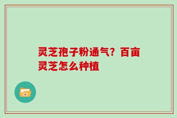 灵芝孢子粉通气？百亩灵芝怎么种植