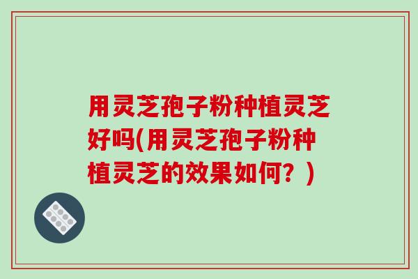 用灵芝孢子粉种植灵芝好吗(用灵芝孢子粉种植灵芝的效果如何?)