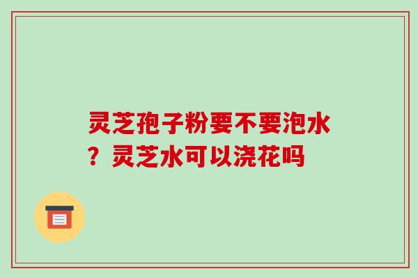 灵芝孢子粉要不要泡水?灵芝水可以浇花吗