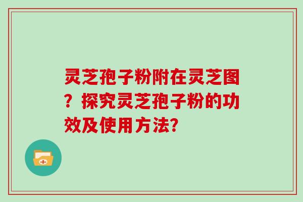 灵芝孢子粉附在灵芝图?探究灵芝孢子粉的功效及使用方法?