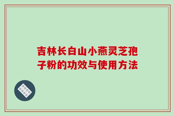 吉林长白山小燕灵芝孢子粉的功效与使用方法
