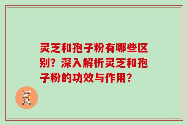 灵芝和孢子粉有哪些区别?深入解析灵芝和孢子粉的功效与作用?